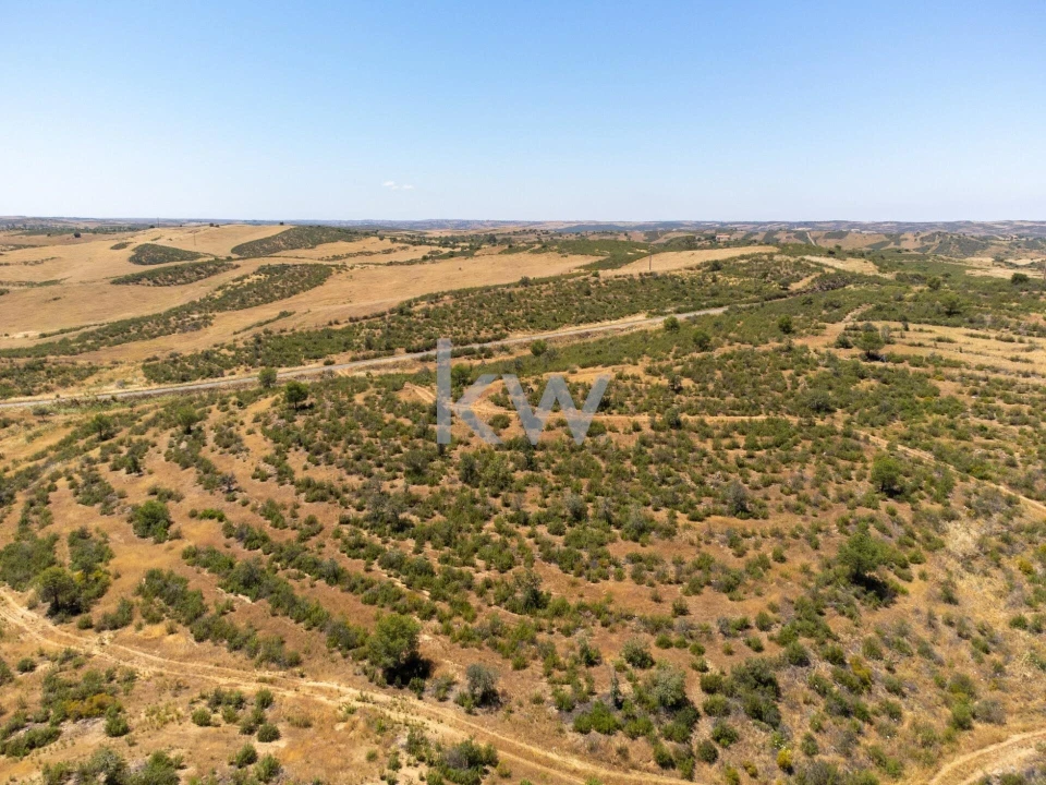 Quinta T5 para Venda em São Miguel do Pinheiro, São Pedro de Solis, São Sebastião dos Carros Foto 72