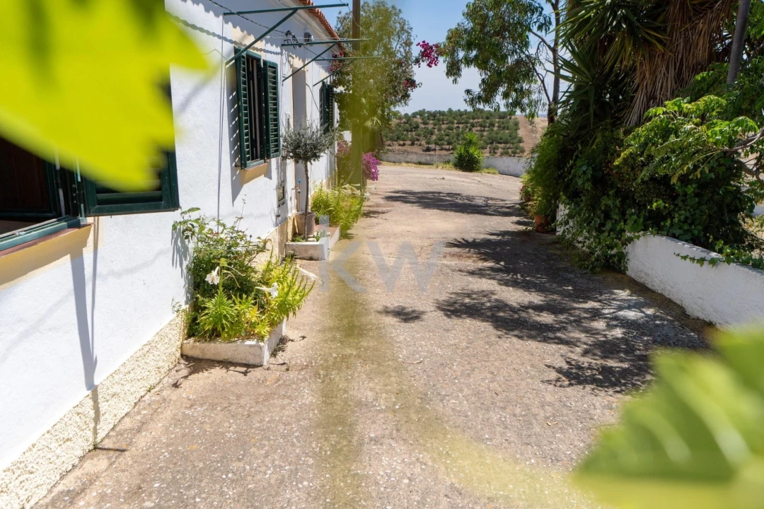 Quinta T5 para Venda em São Miguel do Pinheiro, São Pedro de Solis, São Sebastião dos Carros Foto 51