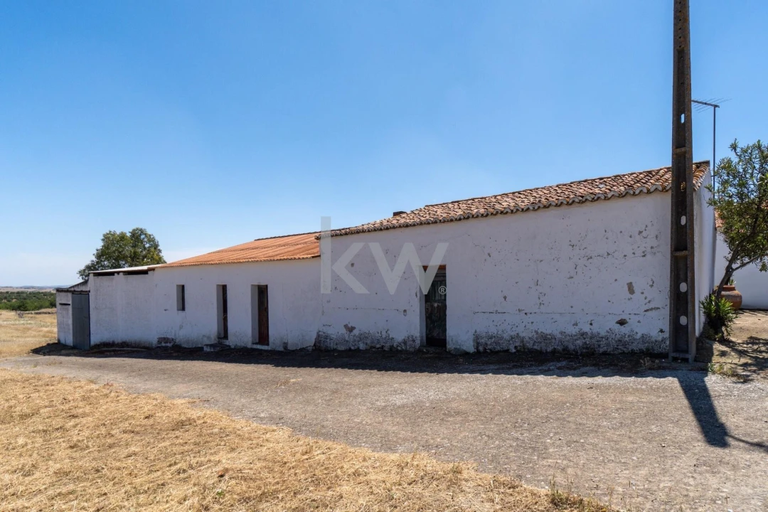 Quinta T5 para Venda em São Miguel do Pinheiro, São Pedro de Solis, São Sebastião dos Carros Foto 50