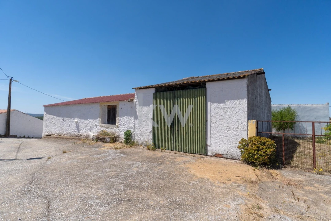 Quinta T5 para Venda em São Miguel do Pinheiro, São Pedro de Solis, São Sebastião dos Carros Foto 47