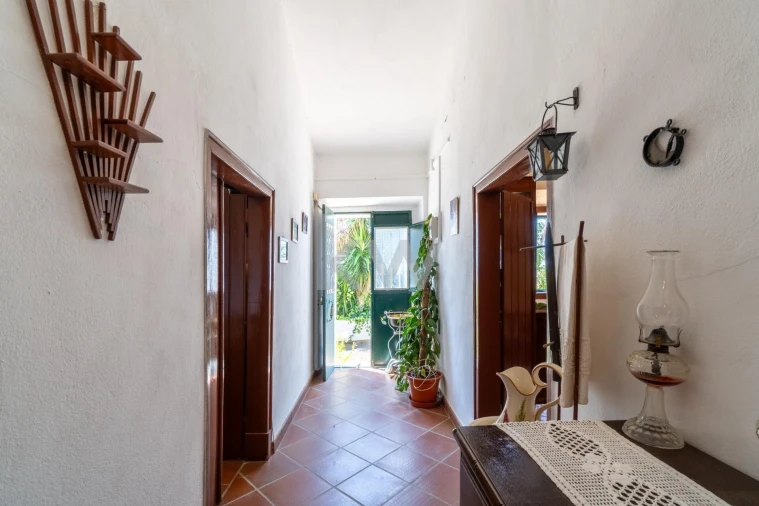 Quinta T5 para Venda em São Miguel do Pinheiro, São Pedro de Solis, São Sebastião dos Carros Foto 3