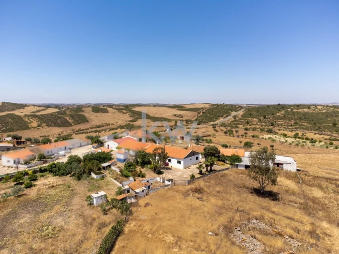 Quinta T5 para Venda em São Miguel do Pinheiro, São Pedro de Solis, São Sebastião dos Carros Foto 71