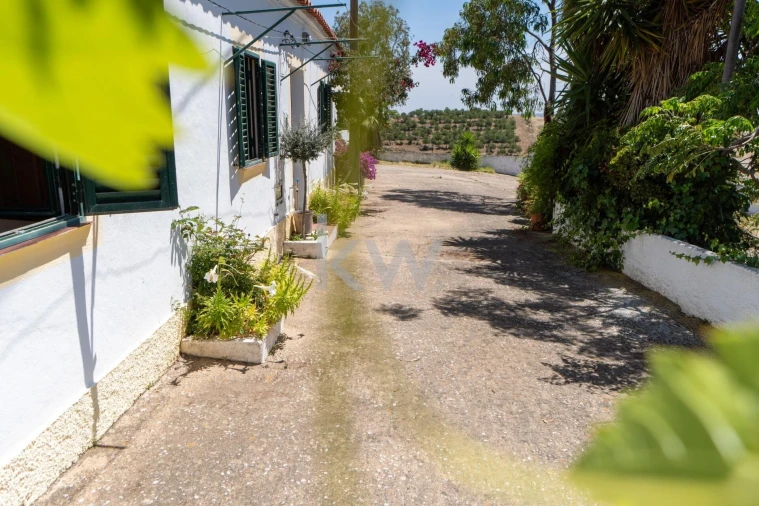 Quinta T5 para Venda em São Miguel do Pinheiro, São Pedro de Solis, São Sebastião dos Carros Foto 51