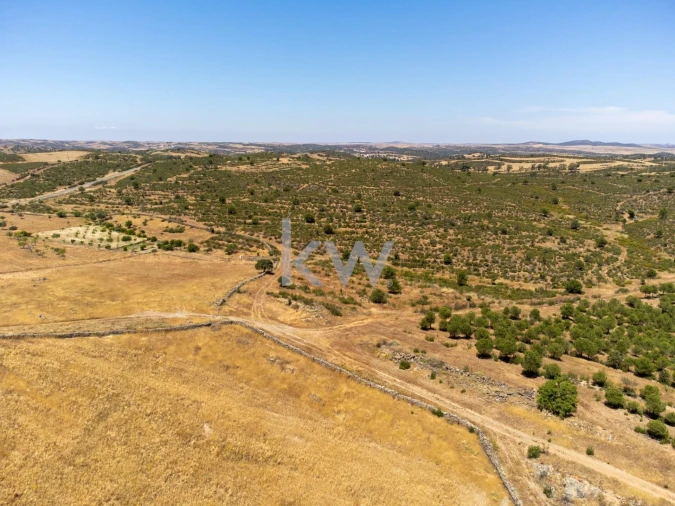 Quinta T5 para Venda em São Miguel do Pinheiro, São Pedro de Solis, São Sebastião dos Carros Foto 75