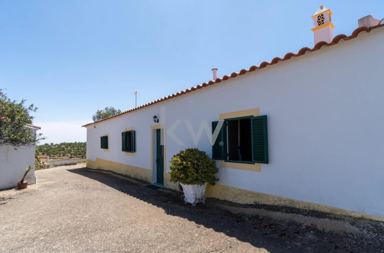 Quinta T5 para Venda em São Miguel do Pinheiro, São Pedro de Solis, São Sebastião dos Carros Foto 31