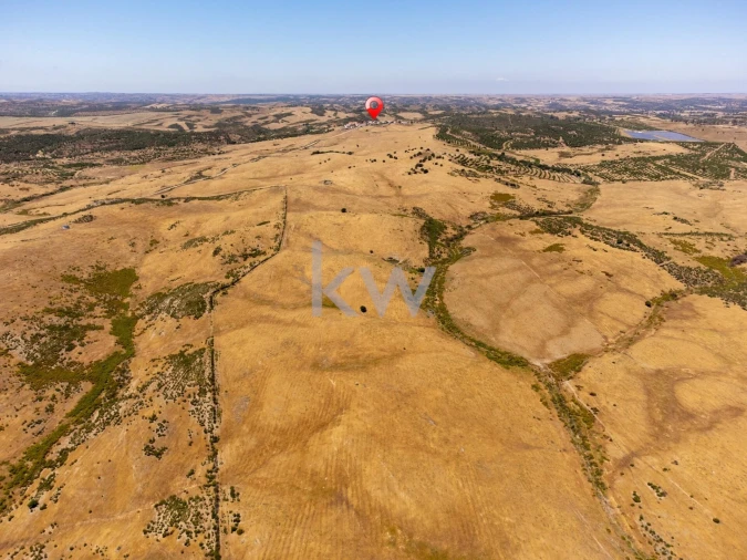 Quinta T5 para Venda em São Miguel do Pinheiro, São Pedro de Solis, São Sebastião dos Carros Foto 76