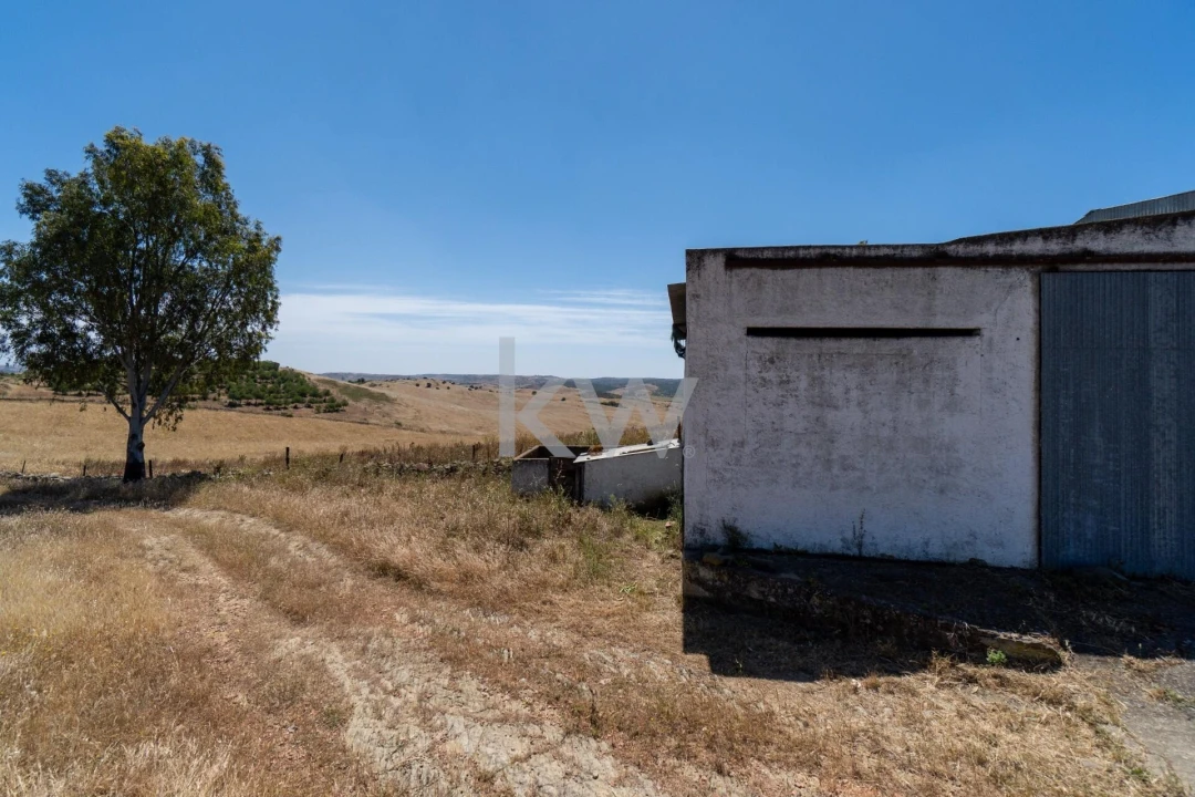 Quinta T5 para Venda em São Miguel do Pinheiro, São Pedro de Solis, São Sebastião dos Carros Foto 55
