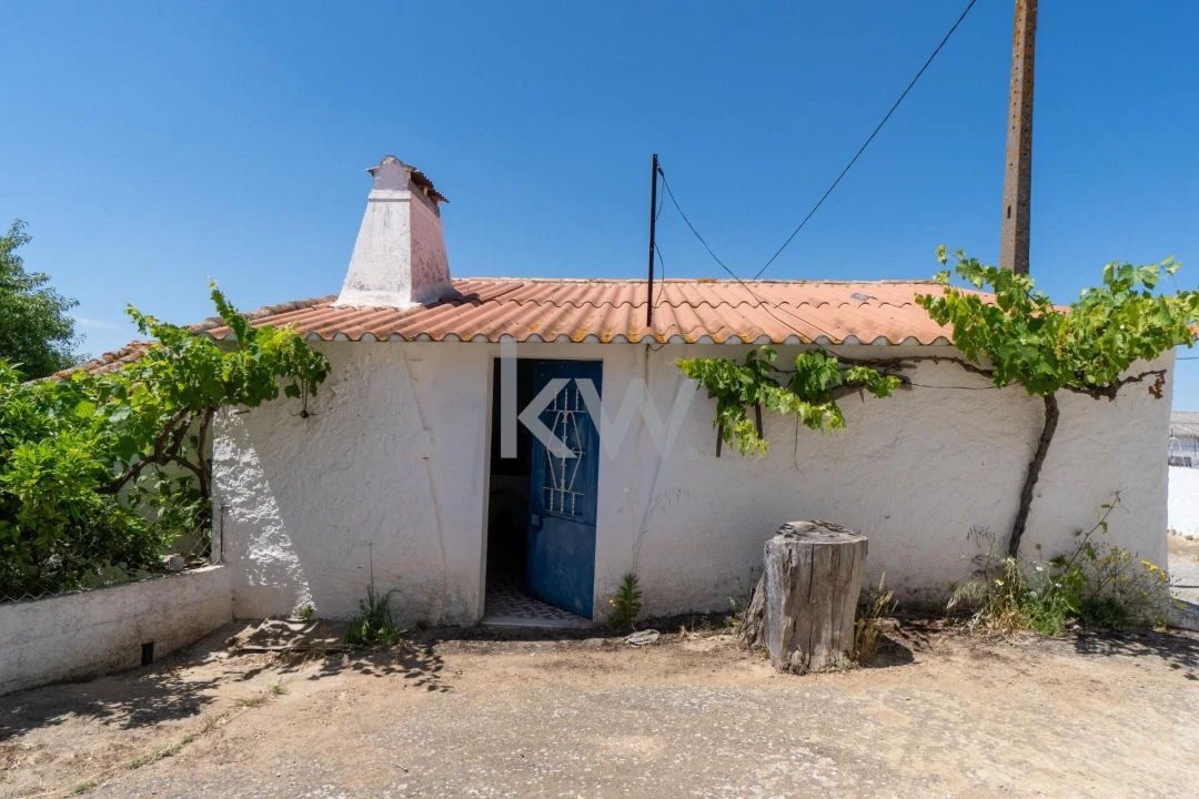 Quinta T5 para Venda em São Miguel do Pinheiro, São Pedro de Solis, São Sebastião dos Carros Foto 36