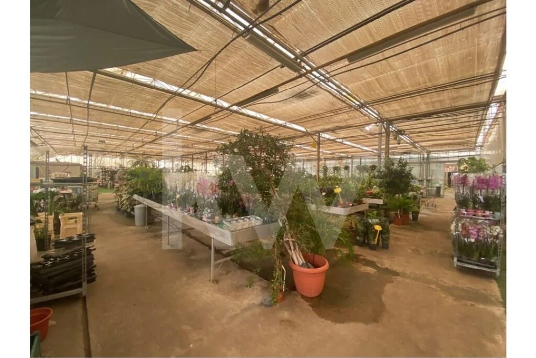 Terreno para Venda em Lagoa e Carvoeiro Foto 22