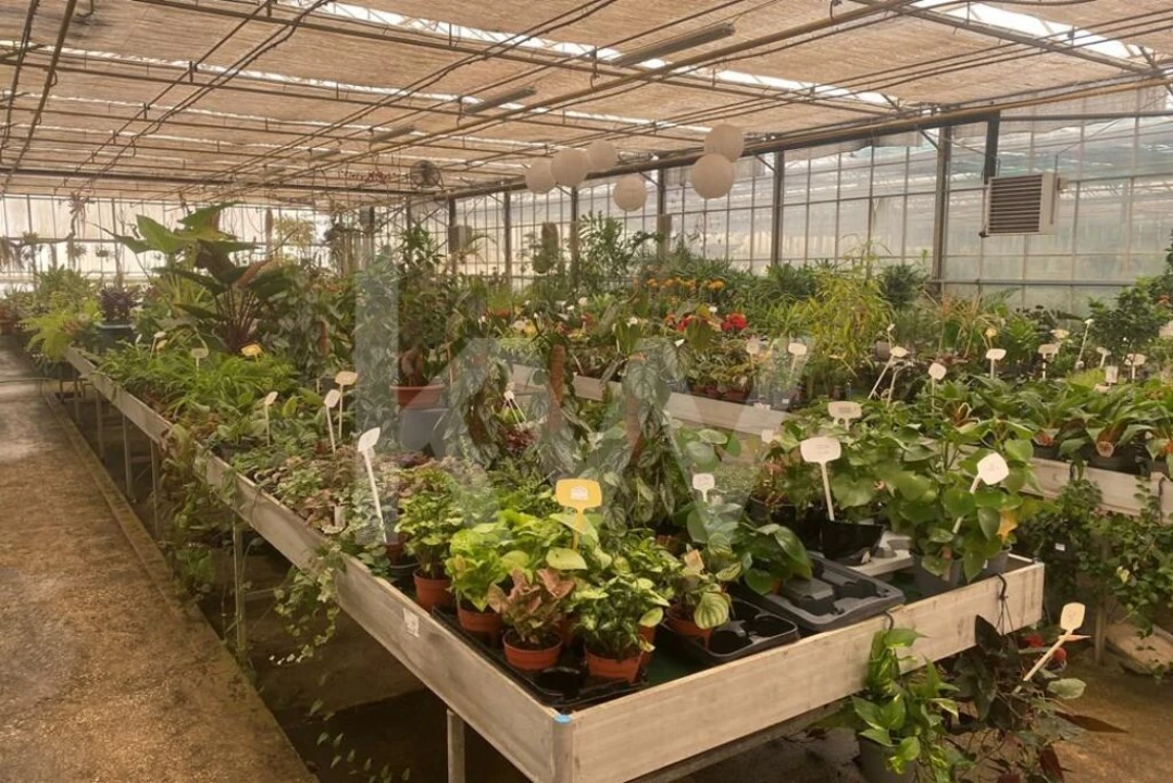 Terreno para Venda em Lagoa e Carvoeiro Foto 24