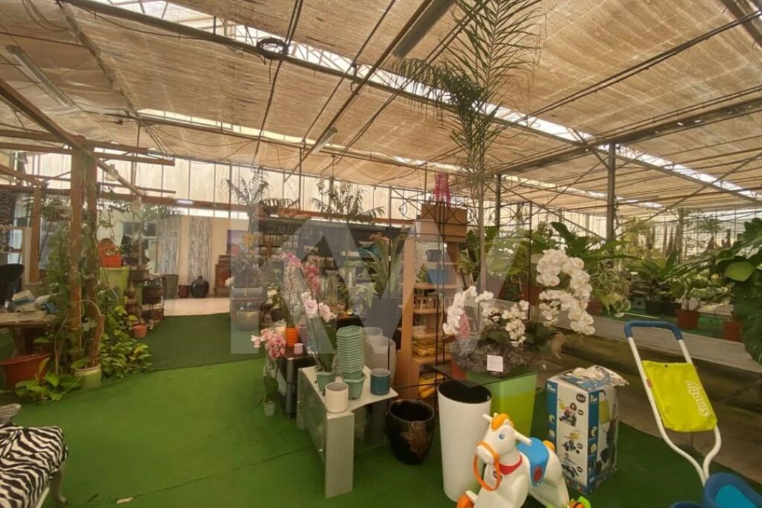 Terreno para Venda em Lagoa e Carvoeiro Foto 9