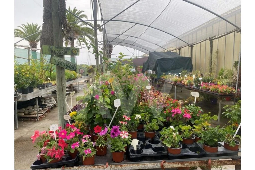 Terreno para Venda em Lagoa e Carvoeiro Foto 18