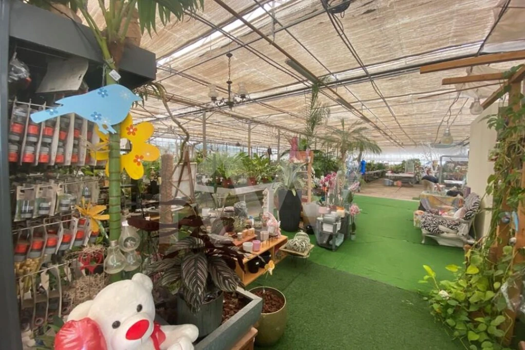 Terreno para Venda em Lagoa e Carvoeiro Foto 6