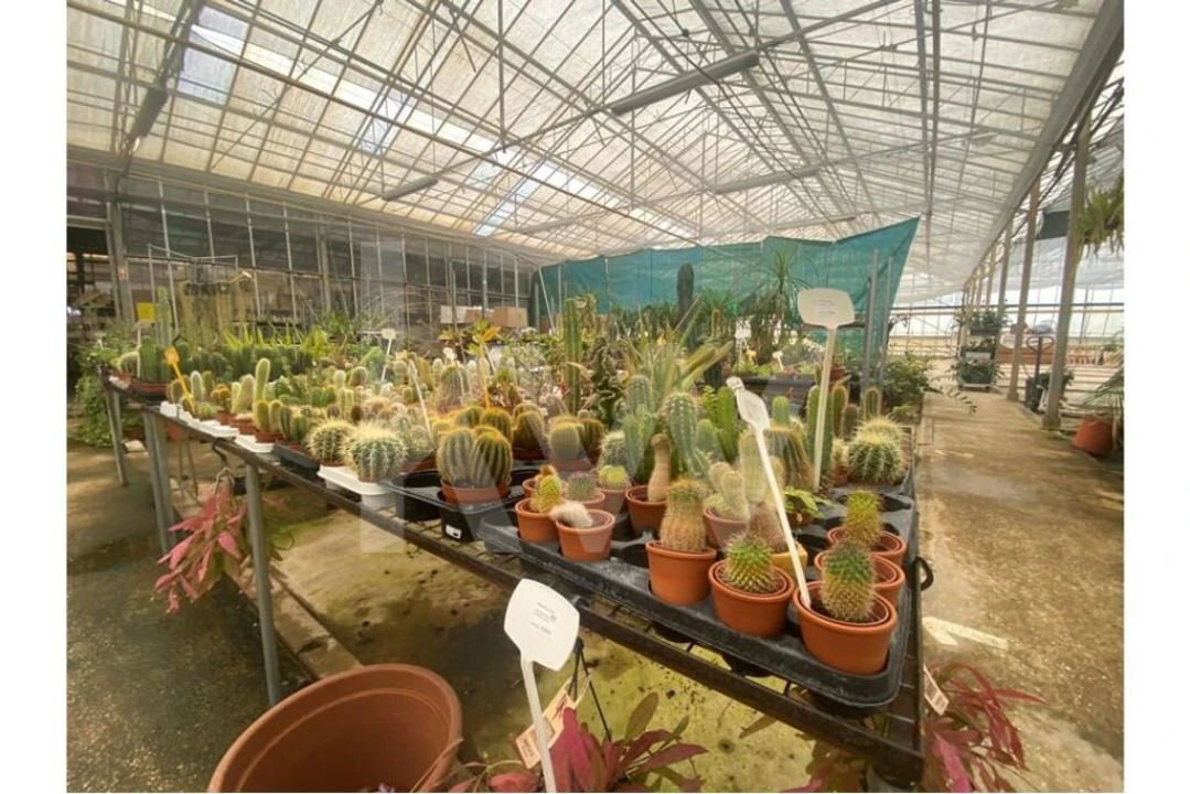 Terreno para Venda em Lagoa e Carvoeiro Foto 38