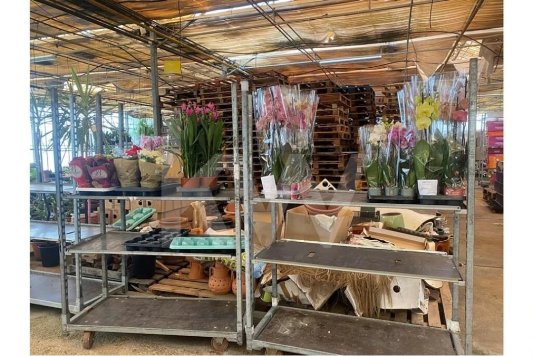 Terreno para Venda em Lagoa e Carvoeiro Foto 32