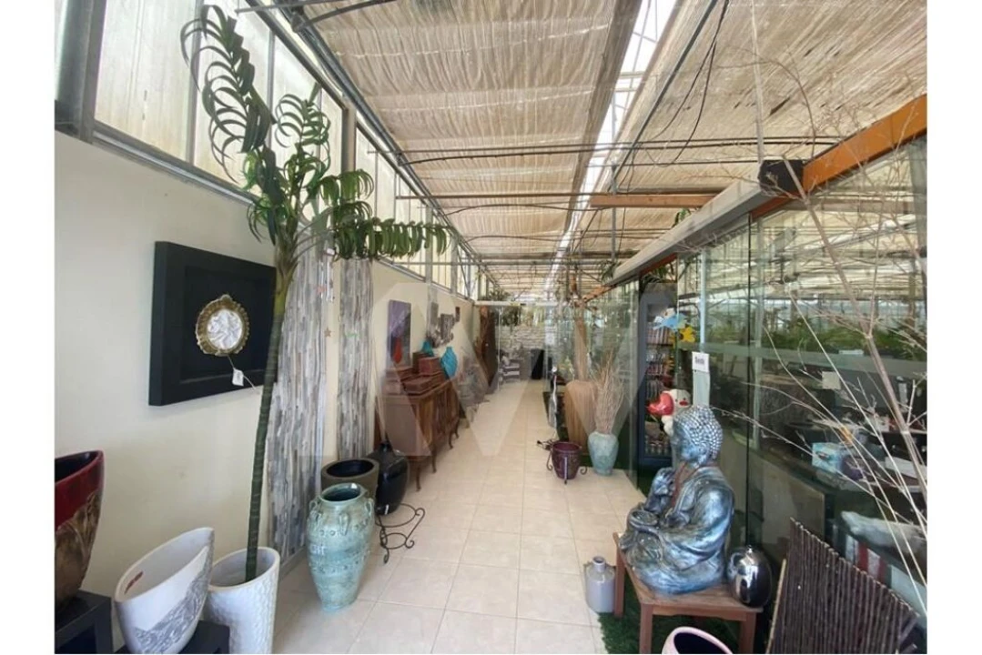 Terreno para Venda em Lagoa e Carvoeiro Foto 4