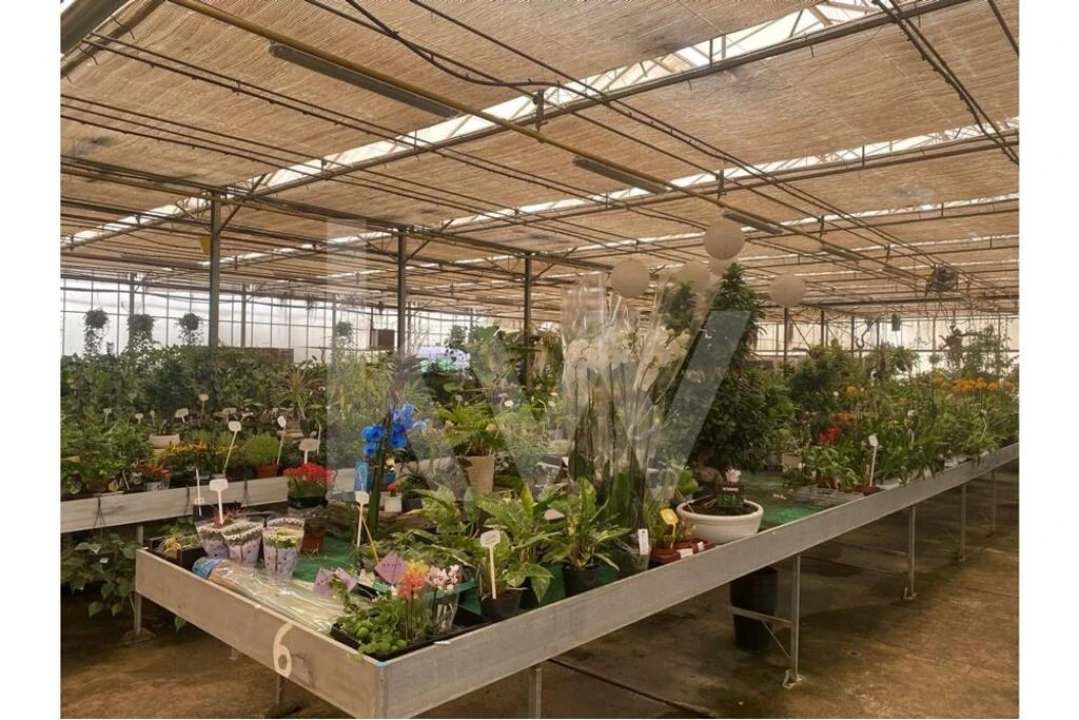 Terreno para Venda em Lagoa e Carvoeiro Foto 46