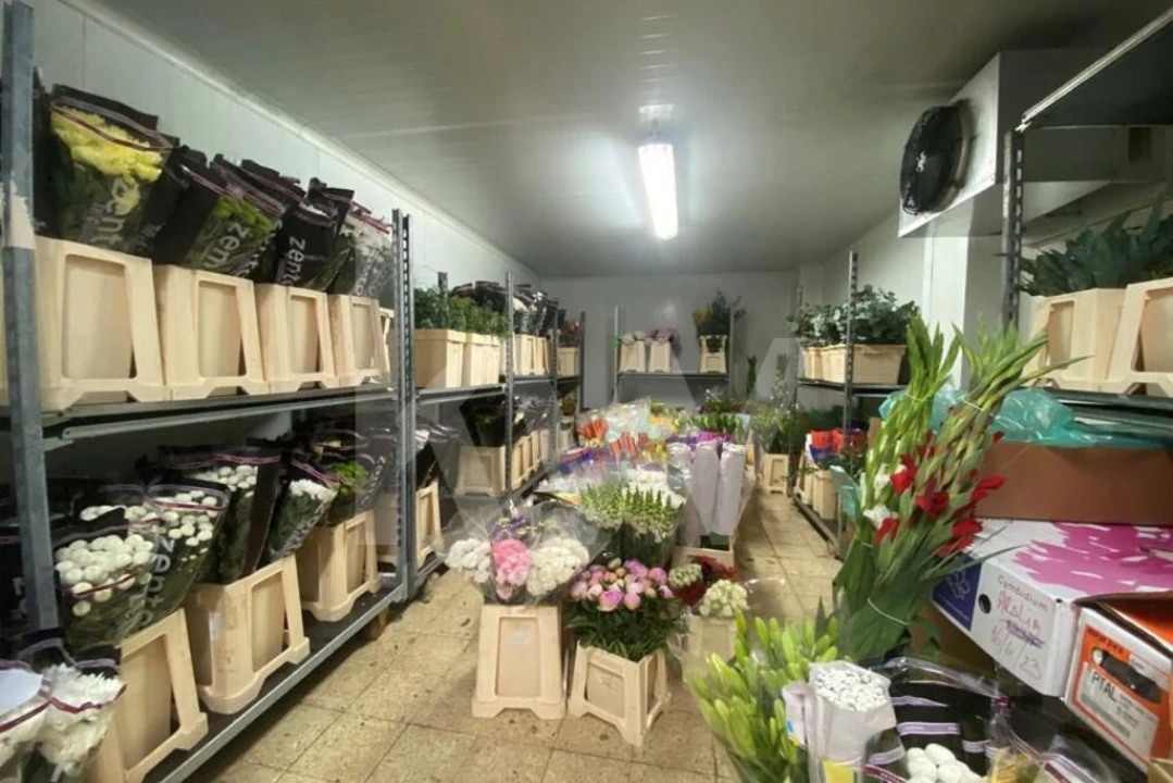 Terreno para Venda em Lagoa e Carvoeiro Foto 27