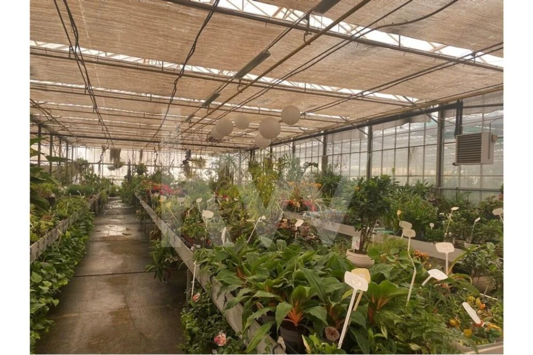 Terreno para Venda em Lagoa e Carvoeiro Foto 49