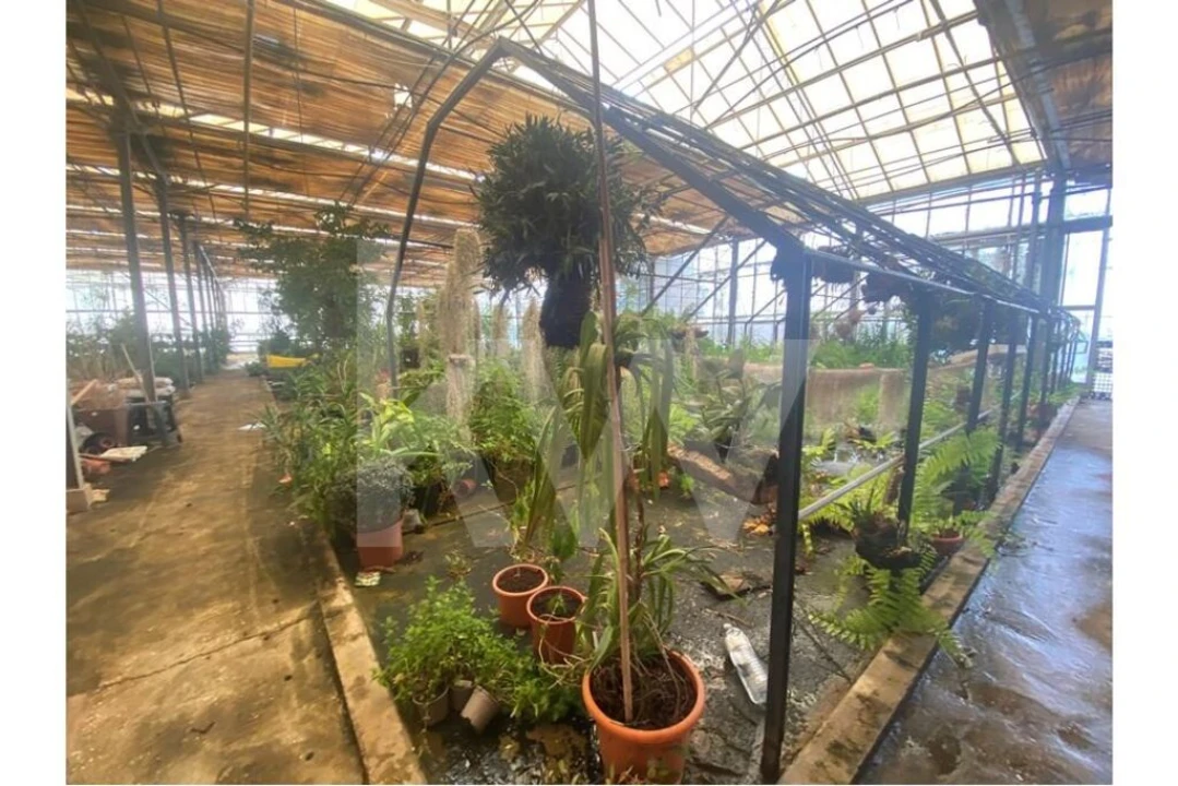 Terreno para Venda em Lagoa e Carvoeiro Foto 29