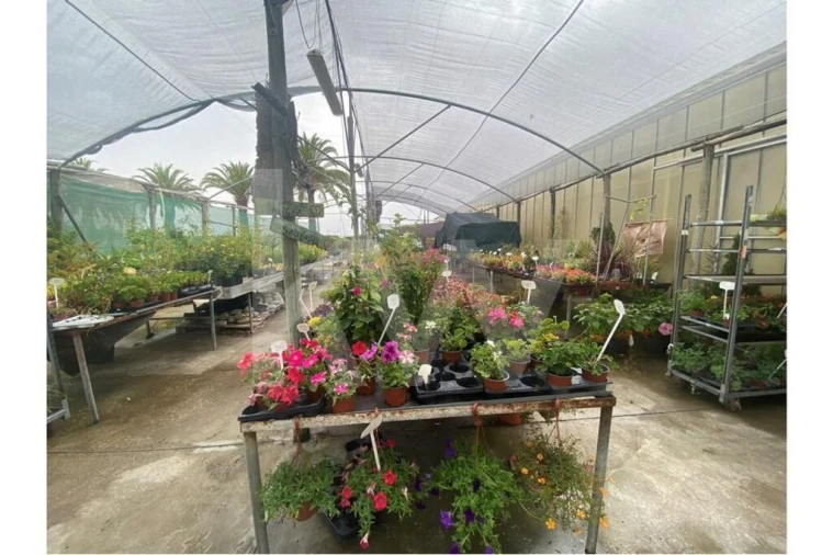 Terreno para Venda em Lagoa e Carvoeiro Foto 19