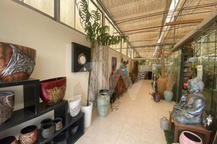 Terreno para Venda em Lagoa e Carvoeiro Foto 5