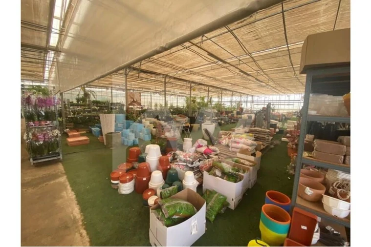 Terreno para Venda em Lagoa e Carvoeiro Foto 12