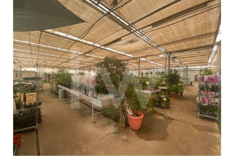 Terreno para Venda em Lagoa e Carvoeiro Foto 22