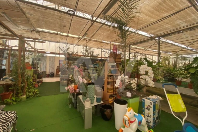 Terreno para Venda em Lagoa e Carvoeiro Foto 9