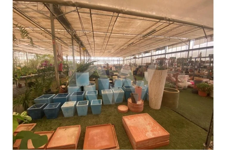 Terreno para Venda em Lagoa e Carvoeiro Foto 51