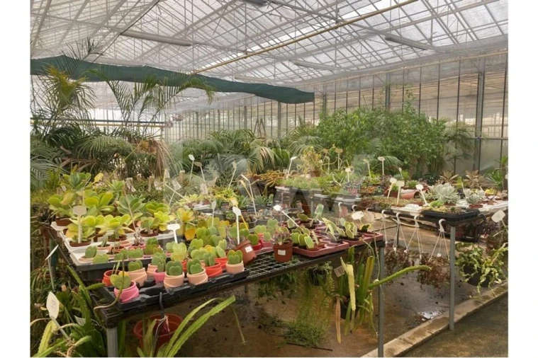 Terreno para Venda em Lagoa e Carvoeiro Foto 44