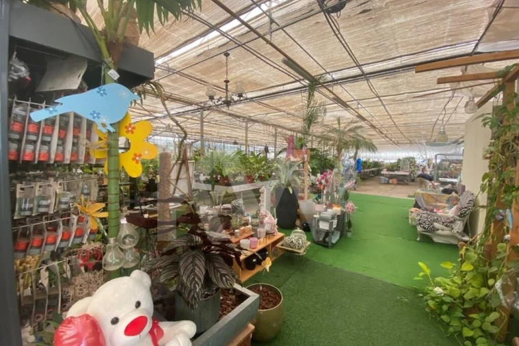 Terreno para Venda em Lagoa e Carvoeiro Foto 6