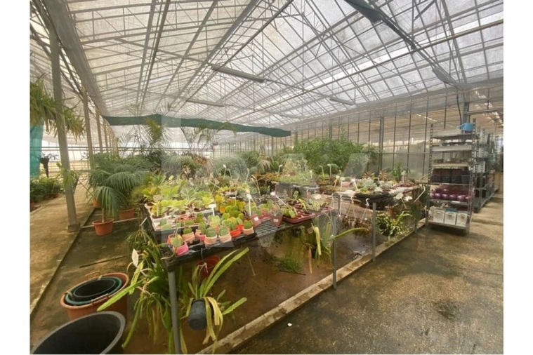 Terreno para Venda em Lagoa e Carvoeiro Foto 43