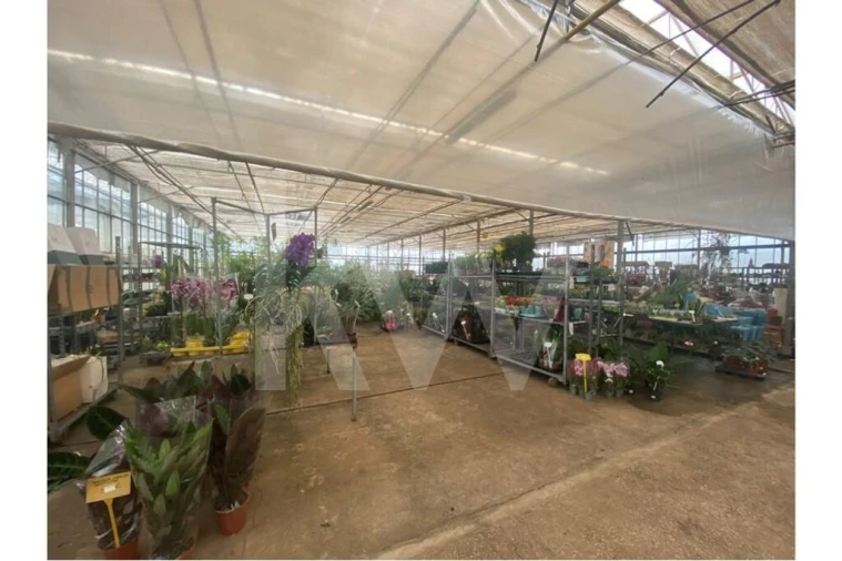 Terreno para Venda em Lagoa e Carvoeiro Foto 48