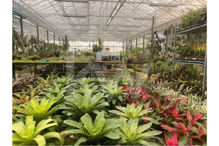 Terreno para Venda em Lagoa e Carvoeiro Foto 36