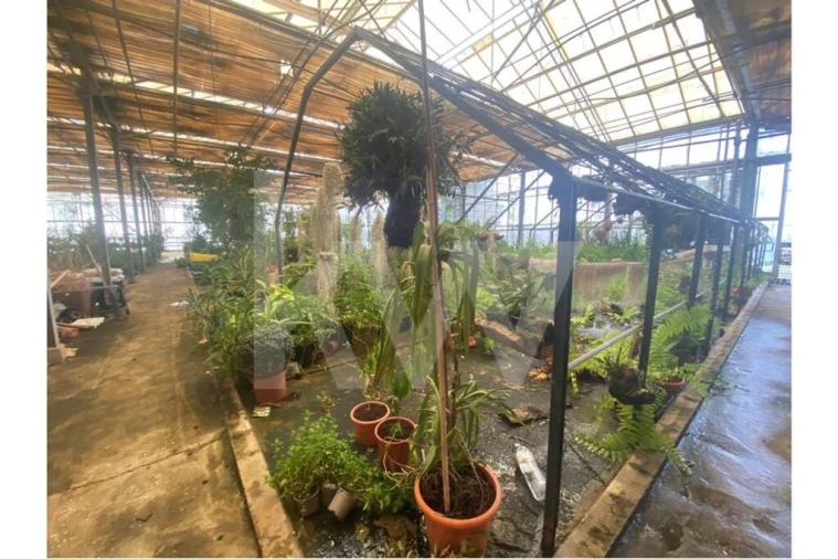 Terreno para Venda em Lagoa e Carvoeiro Foto 29