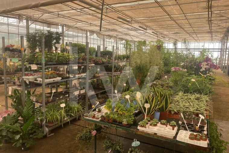 Terreno para Venda em Lagoa e Carvoeiro Foto 25