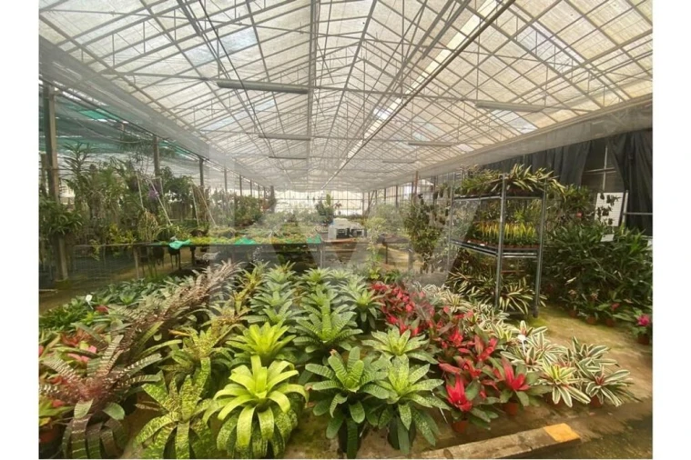 Terreno para Venda em Lagoa e Carvoeiro Foto 37