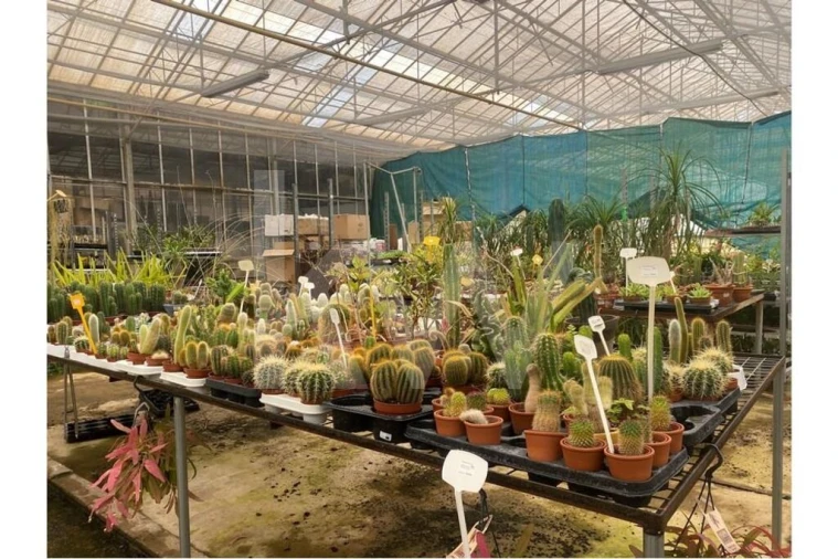 Terreno para Venda em Lagoa e Carvoeiro Foto 39