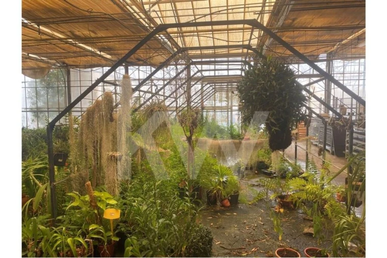 Terreno para Venda em Lagoa e Carvoeiro Foto 30