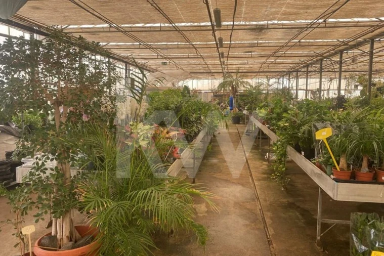 Terreno para Venda em Lagoa e Carvoeiro Foto 21