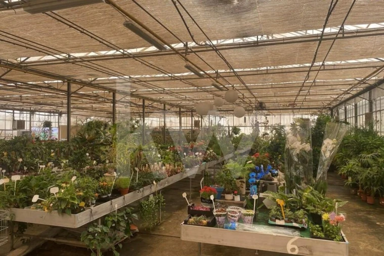 Terreno para Venda em Lagoa e Carvoeiro Foto 26