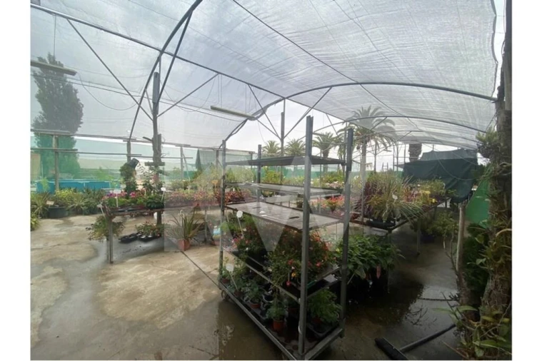 Terreno para Venda em Lagoa e Carvoeiro Foto 15