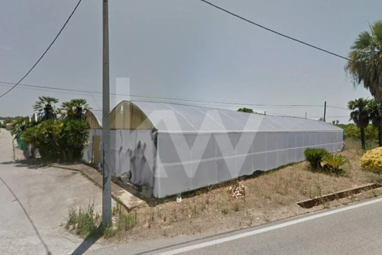 Terreno para Venda em Lagoa e Carvoeiro Foto 3