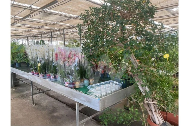 Terreno para Venda em Lagoa e Carvoeiro Foto 13