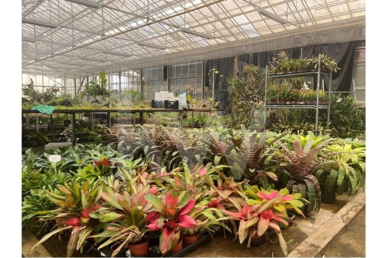 Terreno para Venda em Lagoa e Carvoeiro Foto 40