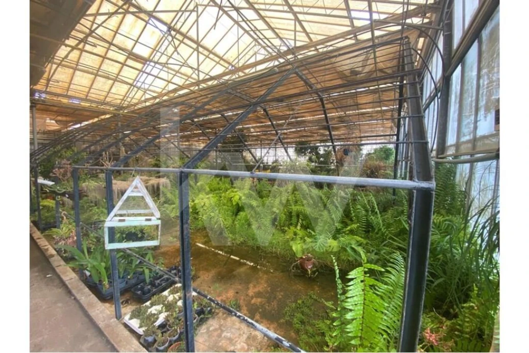 Terreno para Venda em Lagoa e Carvoeiro Foto 28