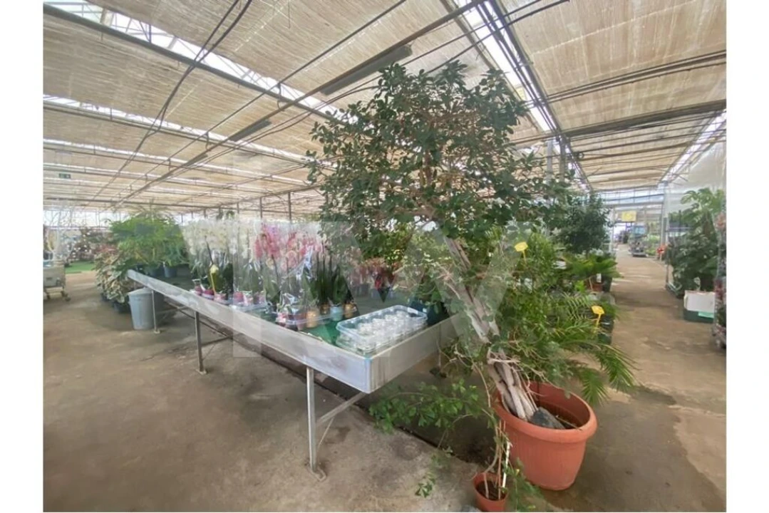 Terreno para Venda em Lagoa e Carvoeiro Foto 14