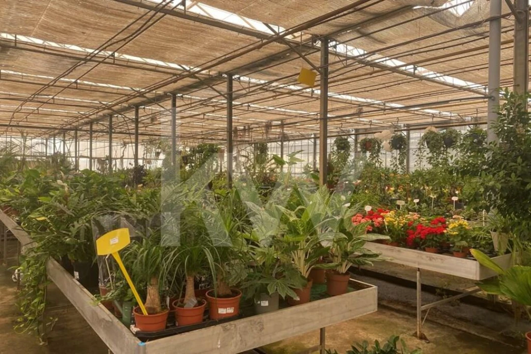 Terreno para Venda em Lagoa e Carvoeiro Foto 23