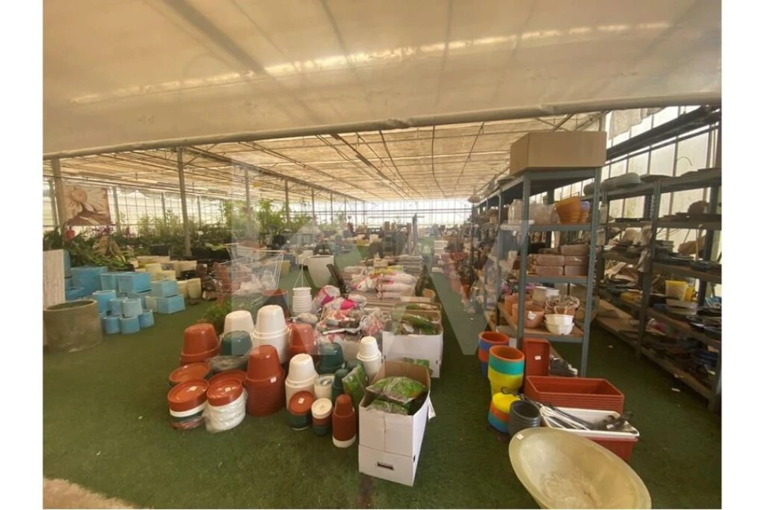 Terreno para Venda em Lagoa e Carvoeiro Foto 11